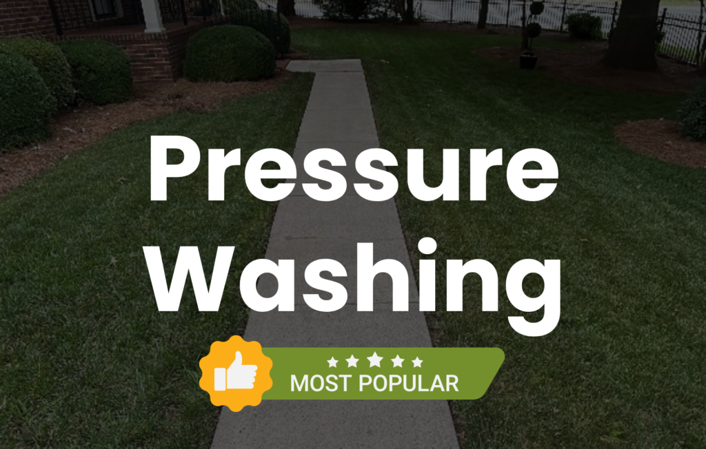 Pressure Washing Service